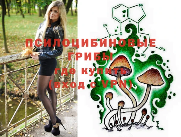 дмт Арсеньев