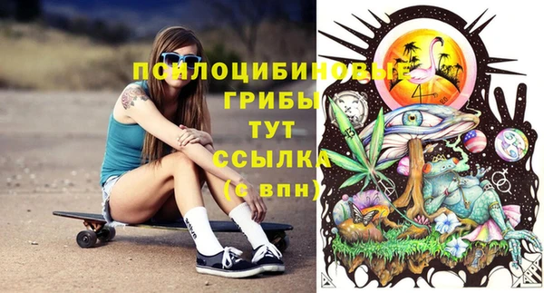 2c-b Аркадак