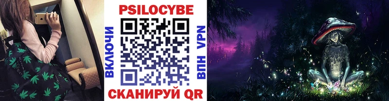 Псилоцибиновые грибы Cubensis Цимлянск
